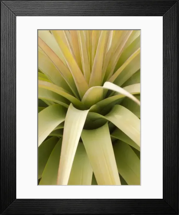 Framed Print : Caribbean, Puerto Rico