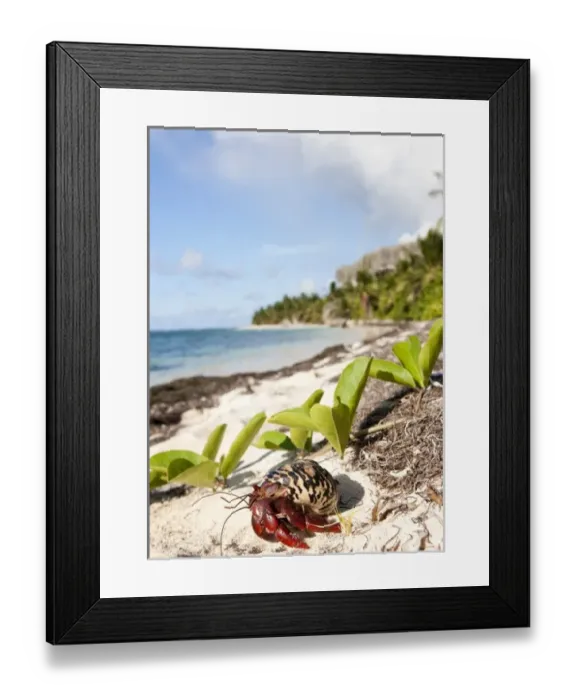 Framed Print : Caribbean, Puerto Rico