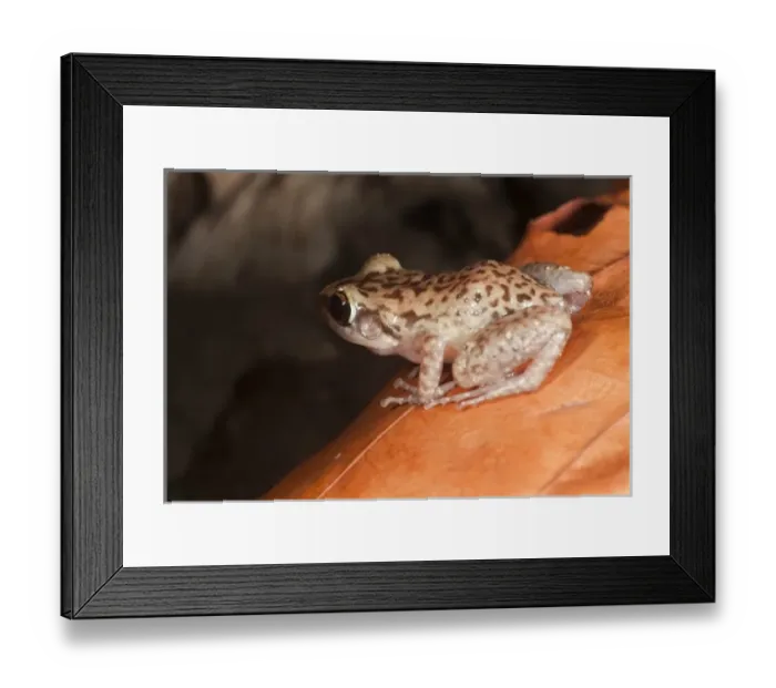 Framed Print : Caribbean, Puerto Rico