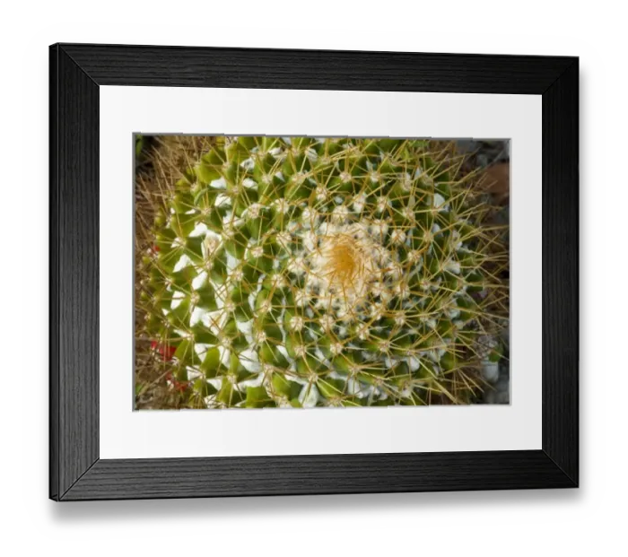 Framed Print : Caribbean, Puerto Rico Framed Print : Caribbean, Puerto Rico