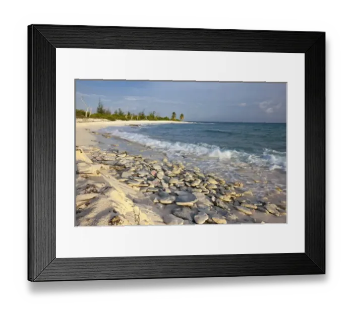 Framed Print : Waves crashing on crushed coral and coral fossils on the beaches of Punta Arena, Mona Island Framed Print : Waves crashing on crushed coral and coral fossils on the beaches of Punta Arena, Mona Island