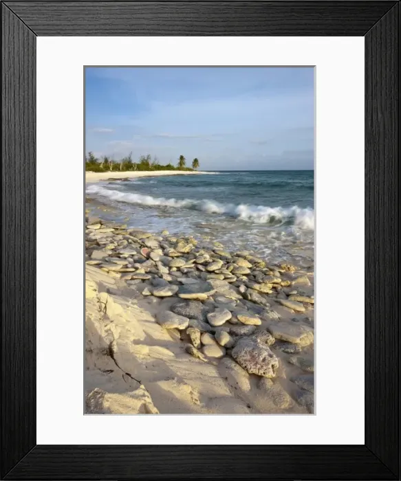 Framed Print : Caribbean, Puerto Rico Framed Print : Caribbean, Puerto Rico