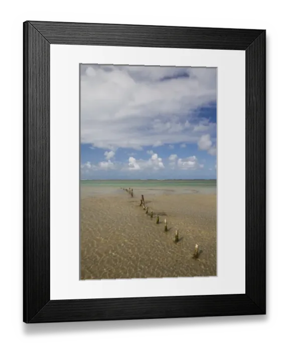 Framed Print : Caribbean, Puerto Rico Framed Print : Caribbean, Puerto Rico