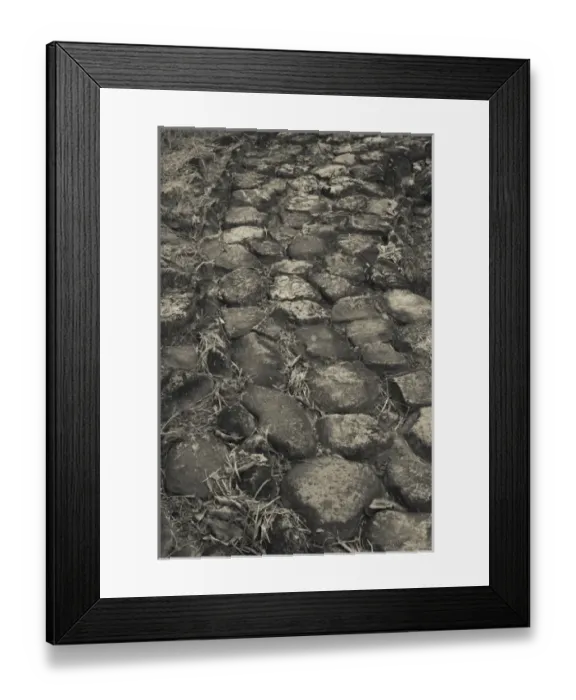 Framed Print : Caribbean, Puerto Rico Framed Print : Caribbean, Puerto Rico