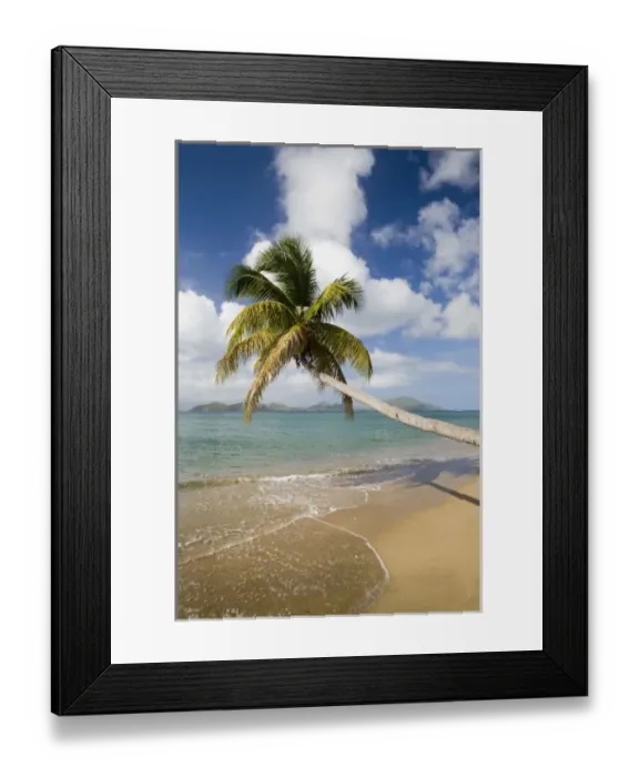 Framed Print : Coconut Grove Beach at Cades Bay, with St. Kitts on horizon Framed Print : Coconut Grove Beach at Cades Bay, with St. Kitts on horizon