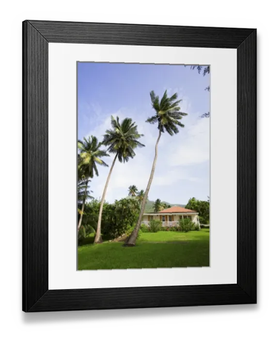 Framed Print : Caribbean, St. Kitts, Nevis Framed Print : Caribbean, St. Kitts, Nevis