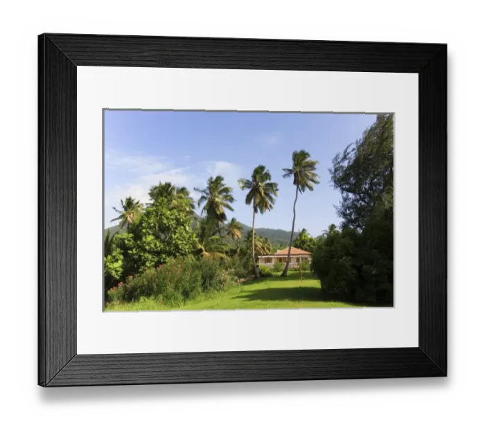 Framed Print : Caribbean, St. Kitts, Nevis Framed Print : Caribbean, St. Kitts, Nevis