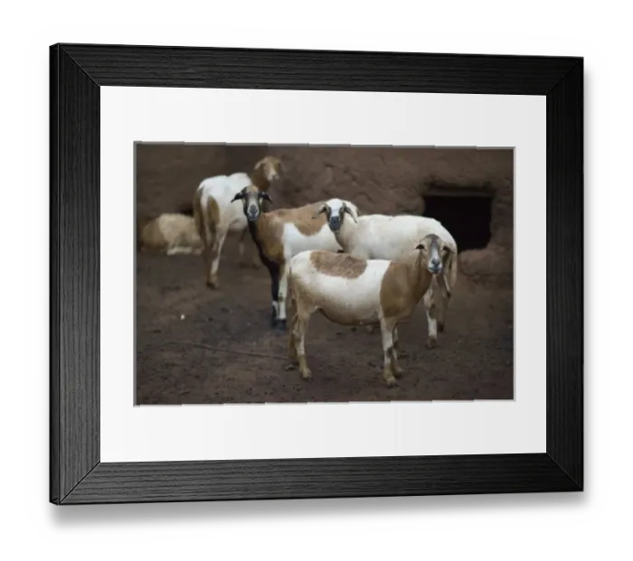 Framed Print : Africa, Ghana Framed Print : Africa, Ghana