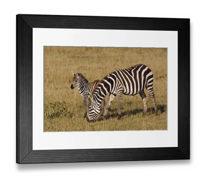 Framed Print : Africa, Kenya Framed Print : Africa, Kenya