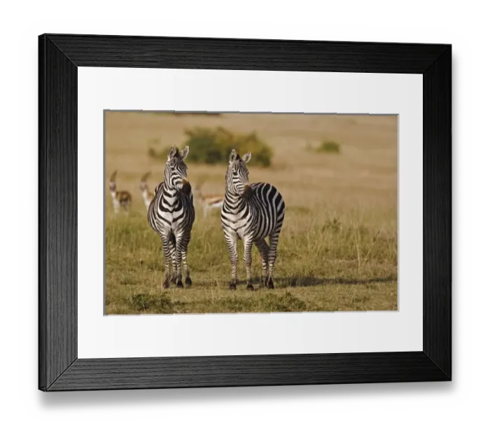 Framed Print : Africa, Kenya Framed Print : Africa, Kenya