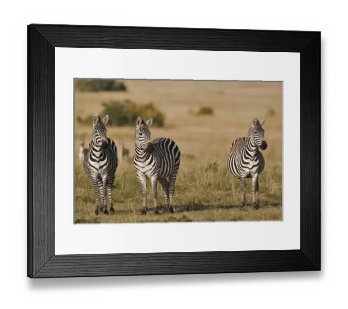 Framed Print : Africa, Kenya