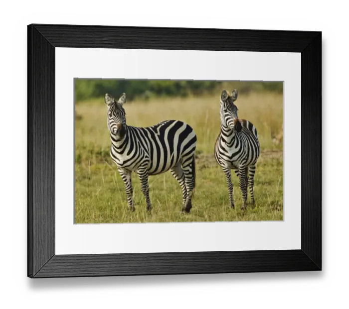 Framed Print : Africa, Kenya Framed Print : Africa, Kenya