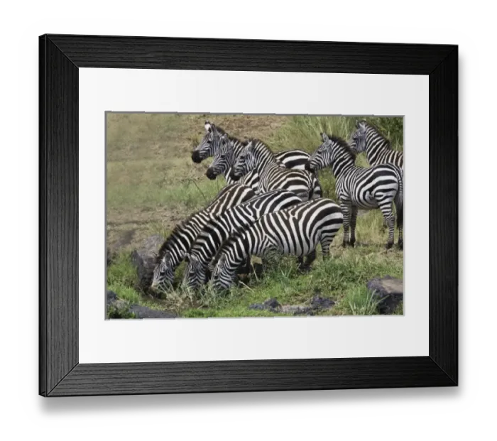 Framed Print : Africa, Kenya