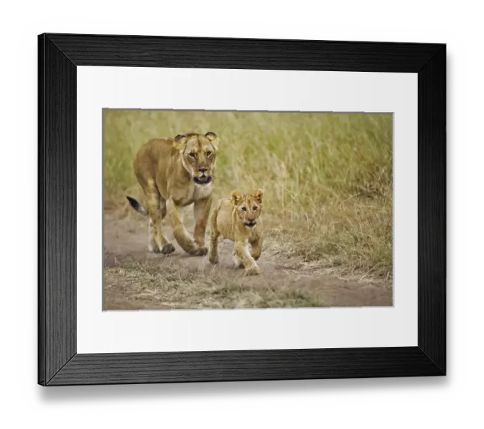 Framed Print : Africa, Kenya