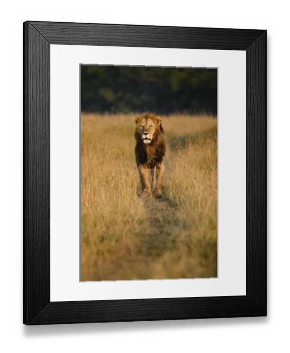 Framed Print : Africa, Kenya Framed Print : Africa, Kenya