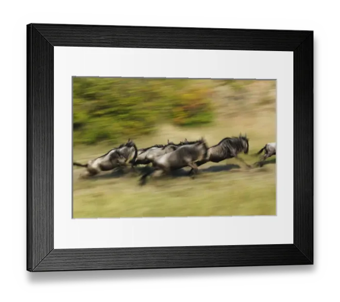 Framed Print : Africa, Kenya Framed Print : Africa, Kenya