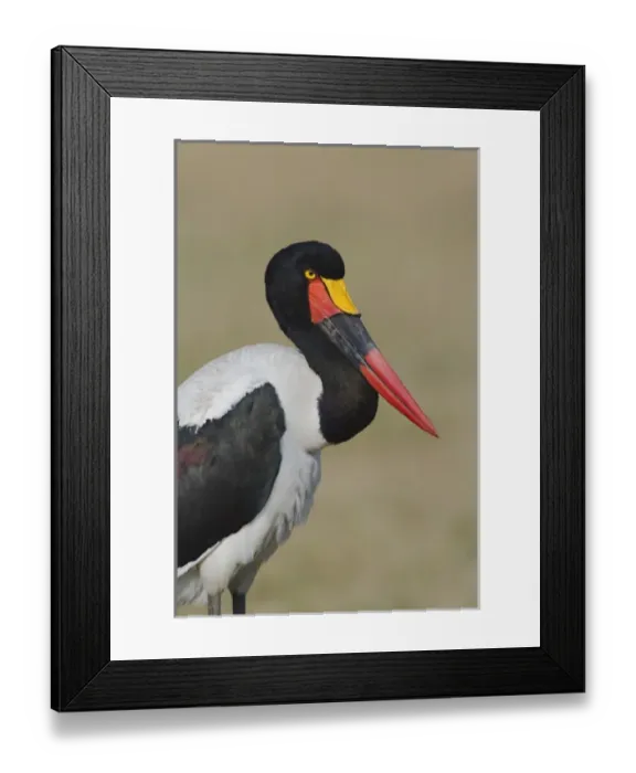 Framed Print : Africa, Kenya Framed Print : Africa, Kenya
