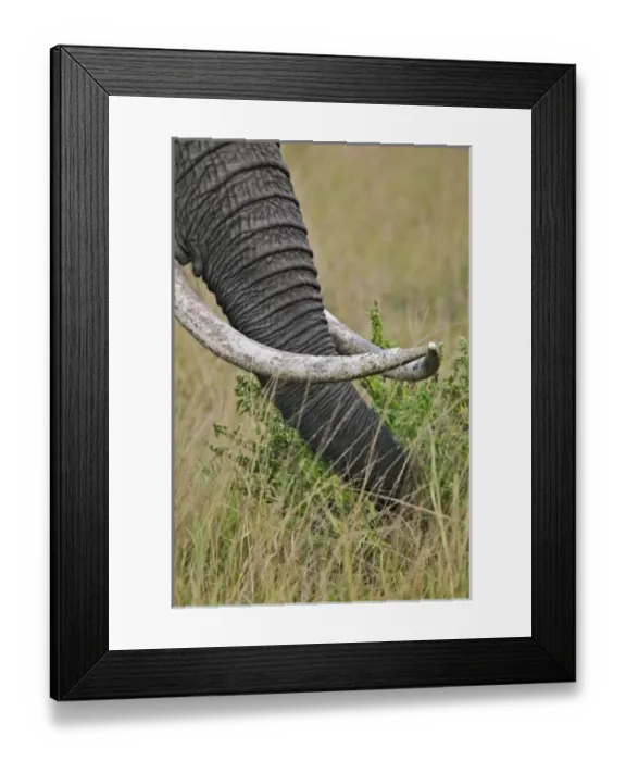 Framed Print : Africa, Kenya Framed Print : Africa, Kenya