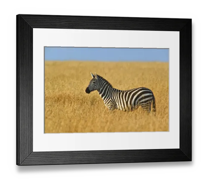 Framed Print : Africa, Kenya Framed Print : Africa, Kenya