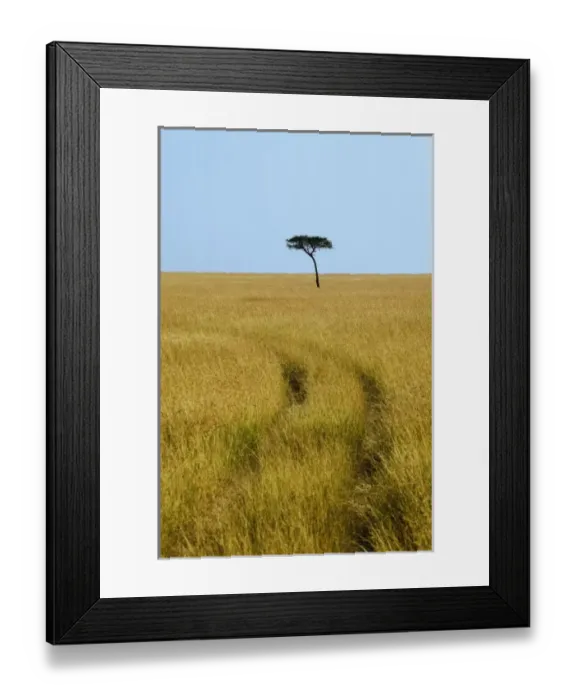 Framed Print : Africa, Kenya