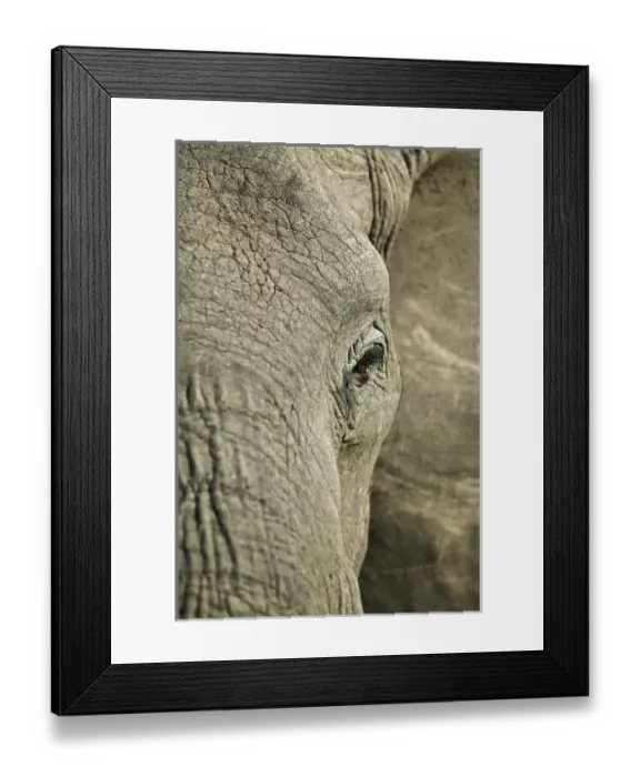 Framed Print : Africa, Kenya Framed Print : Africa, Kenya