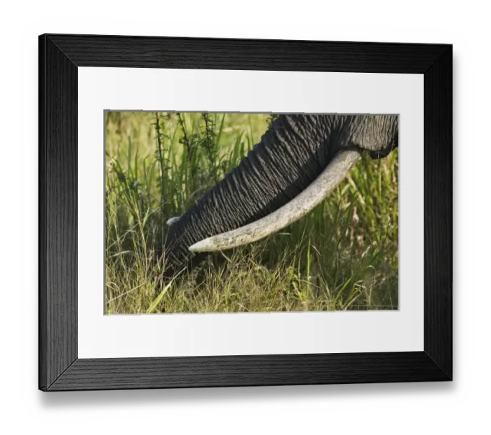 Framed Print : Africa, Kenya