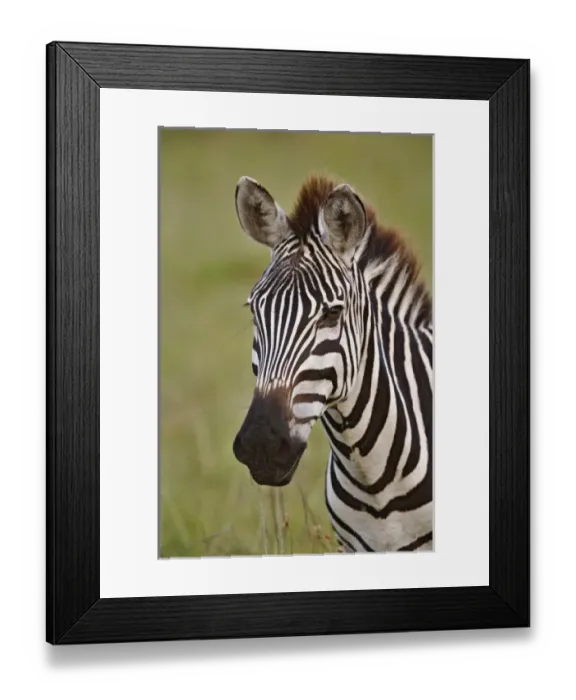 Framed Print : Africa, Kenya Framed Print : Africa, Kenya