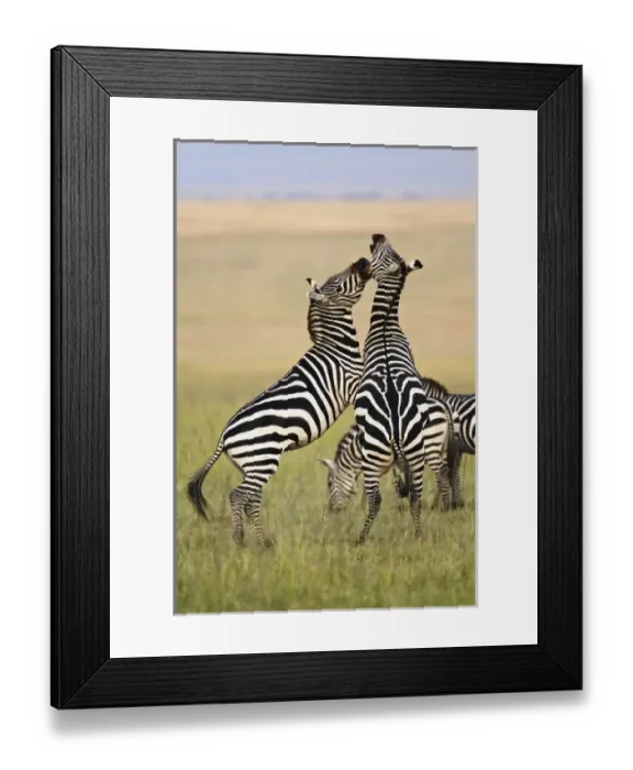 Framed Print : Africa, Kenya