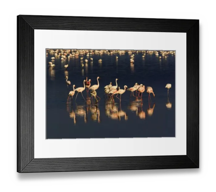 Framed Print : Africa, Kenya Framed Print : Africa, Kenya
