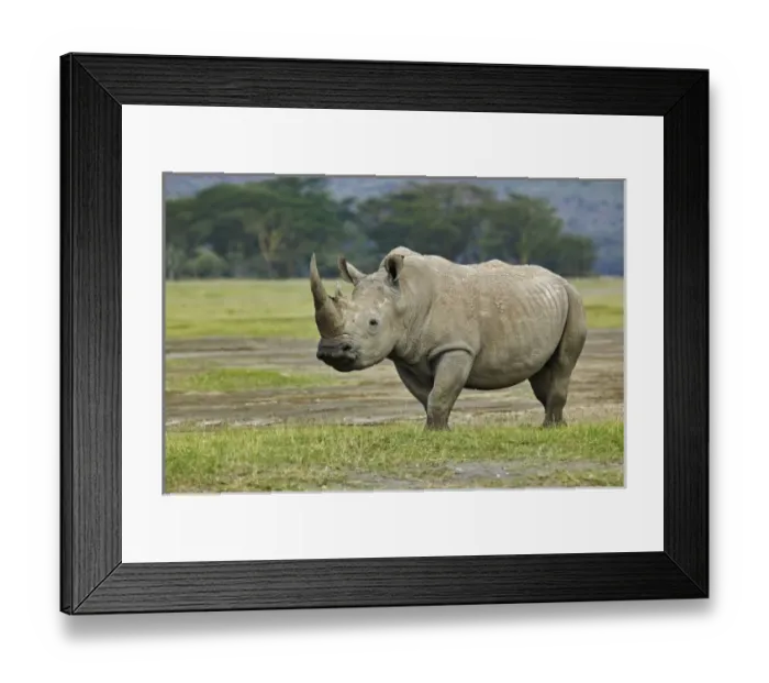 Framed Print : Africa, Kenya