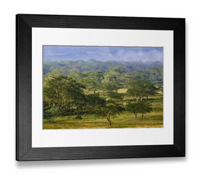 Framed Print : Africa, Kenya Framed Print : Africa, Kenya