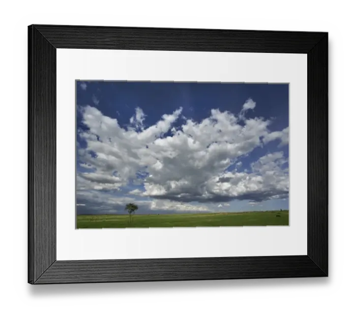 Framed Print : Dramatic sky above green grass, Masai Mara, Kenya Framed Print : Dramatic sky above green grass, Masai Mara, Kenya