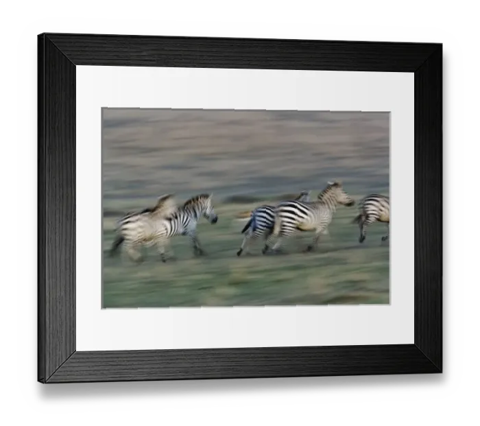 Framed Print : Africa, Kenya