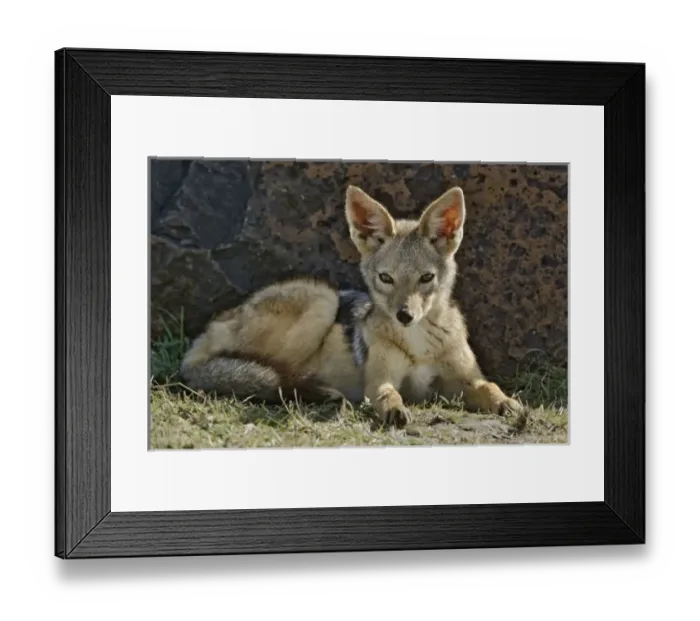Framed Print : Africa, Kenya