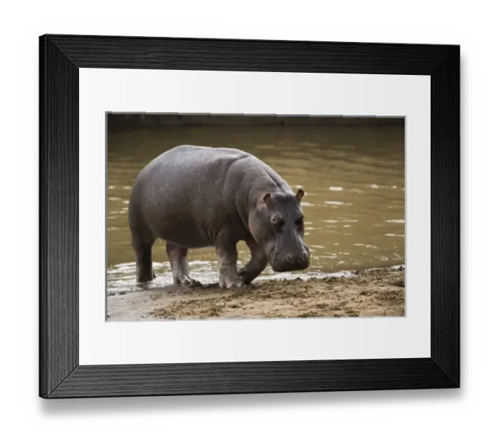 Framed Print : Africa, Kenya Framed Print : Africa, Kenya