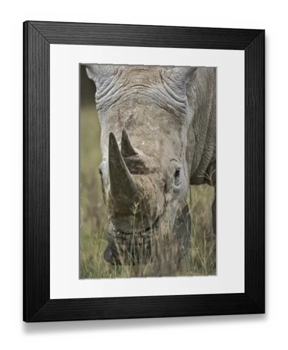 Framed Print : Africa, Kenya