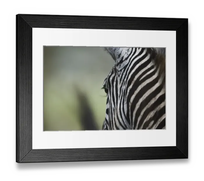 Framed Print : Africa, Kenya Framed Print : Africa, Kenya