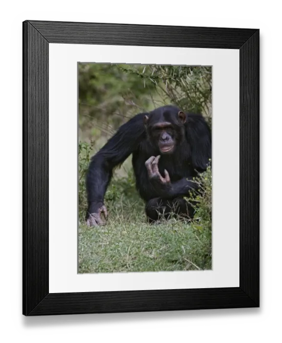 Framed Print : Africa, Kenya Framed Print : Africa, Kenya