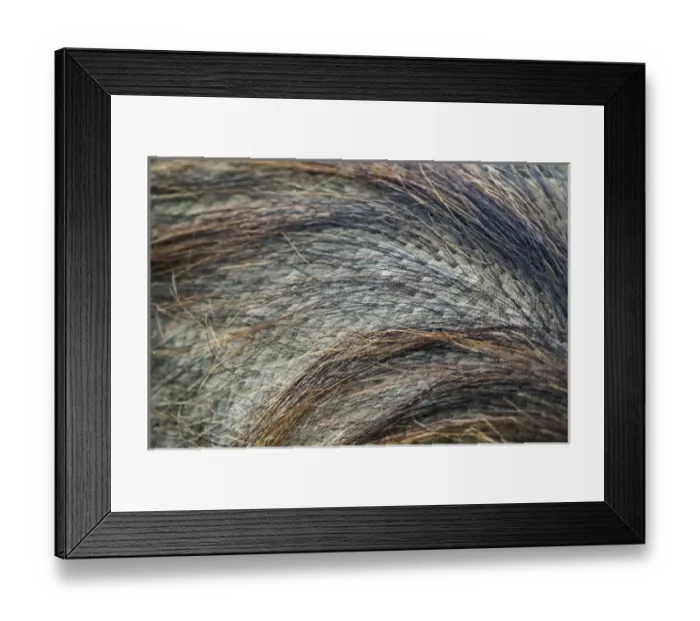 Framed Print : Africa, Kenya Framed Print : Africa, Kenya