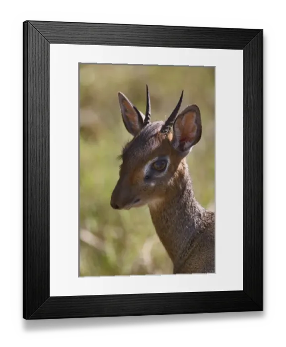 Framed Print : Africa, Kenya Framed Print : Africa, Kenya