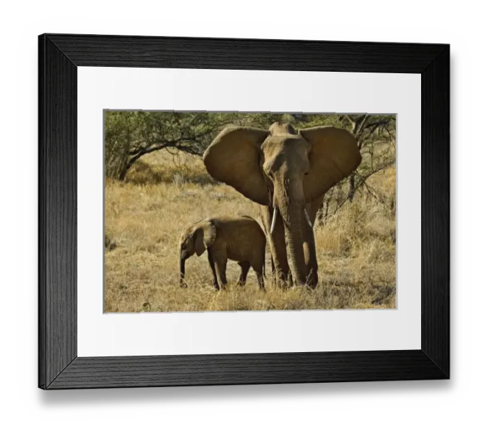 Framed Print : Africa, Kenya Framed Print : Africa, Kenya