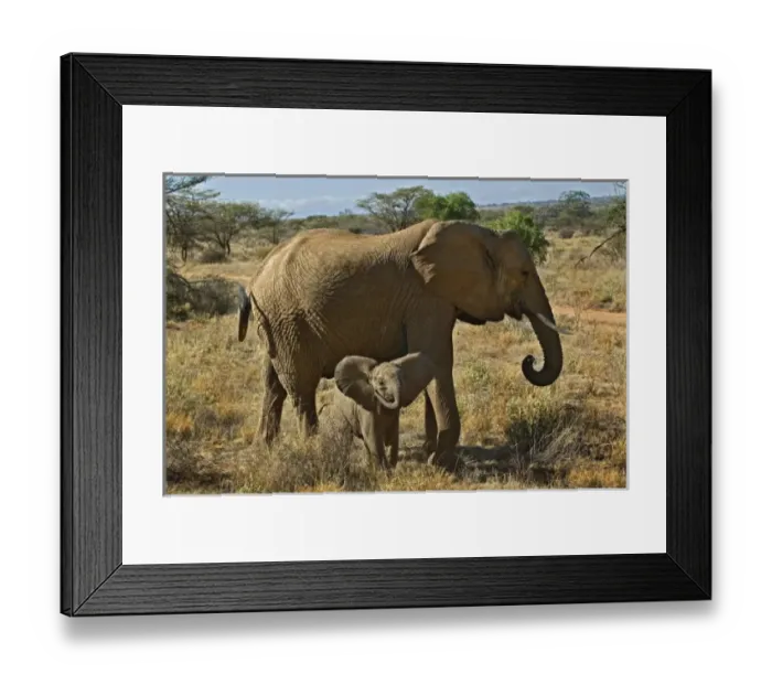 Framed Print : Africa, Kenya Framed Print : Africa, Kenya