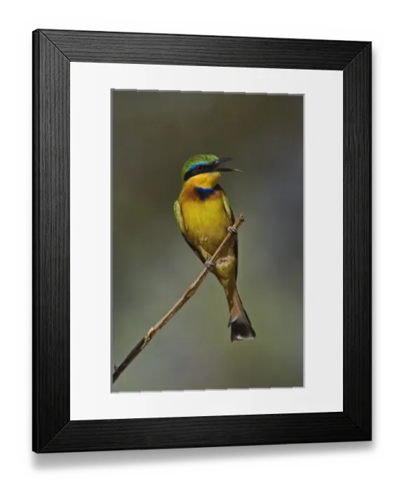 Framed Print : Africa, Kenya Framed Print : Africa, Kenya