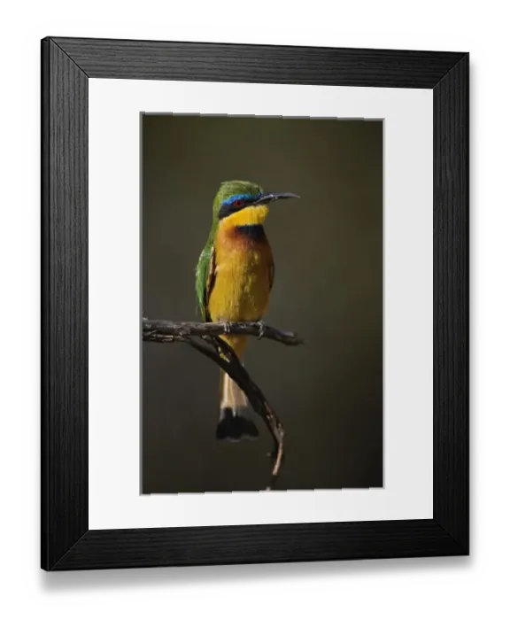 Framed Print : Africa, Kenya Framed Print : Africa, Kenya