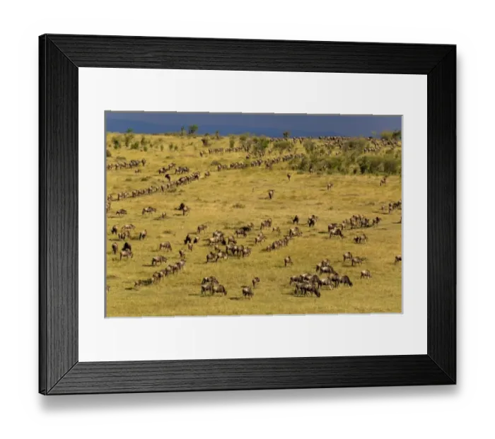 Framed Print : Africa, Kenya Framed Print : Africa, Kenya