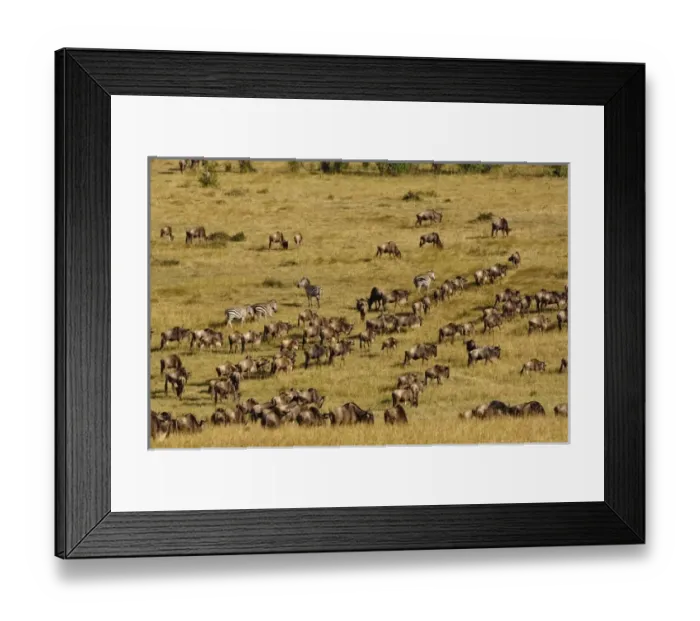 Framed Print : Africa, Kenya