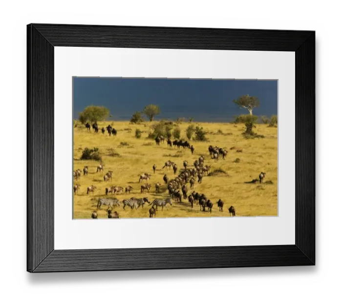 Framed Print : Africa, Kenya Framed Print : Africa, Kenya