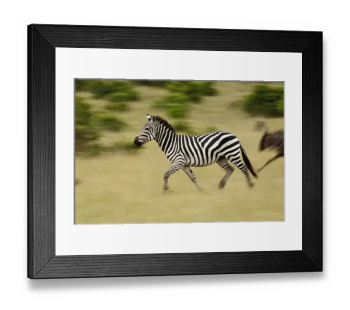 Framed Print : Africa, Kenya Framed Print : Africa, Kenya