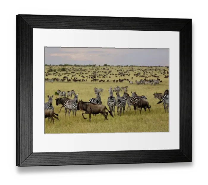 Framed Print : Africa, Kenya