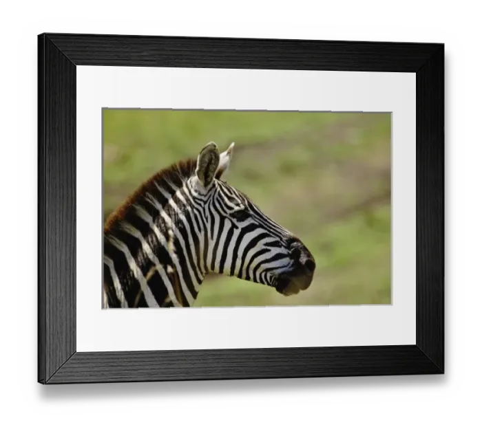 Framed Print : Africa, Kenya